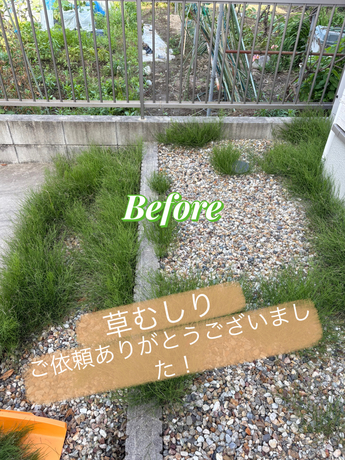 IMG_6025.jpegのサムネイル画像